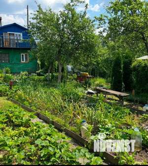 Дом 60м&sup2;, 2-этажный, участок 8 сот.  