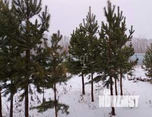 Дом 144м&sup2;, 1-этажный, участок 9 сот.  