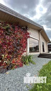 Дом 60м&sup2;, 1-этажный, участок 7 сот.  