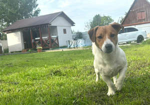 Дом 125м&sup2;, 2-этажный, участок 7 сот.  