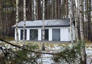 Дом 76м², 1-этажный, участок 8 сот.  