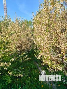 Дом 67м², 1-этажный, участок 16 сот.  