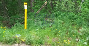 Дом 250м&sup2;, 2-этажный, участок 13 сот.  