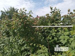 Дом 43м&sup2;, 2-этажный, участок 5 сот.  