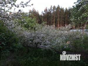 Дом 28м², 1-этажный, участок 4 сот.  