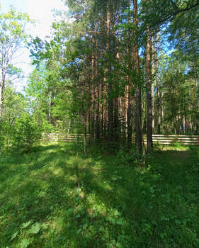 Дом 51м², 2-этажный, участок 9 сот.  