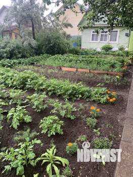 Дом 34м&sup2;, 2-этажный, участок 4 сот.  