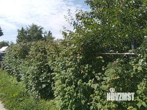 Дом 43м&sup2;, 2-этажный, участок 5 сот.  