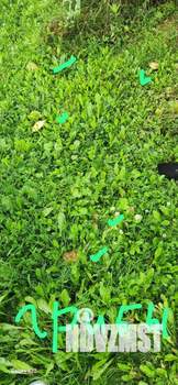 Дом 70м&sup2;, 2-этажный, участок 12 сот.  