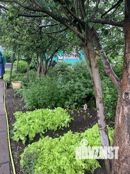 Дом 34м&sup2;, 2-этажный, участок 4 сот.  