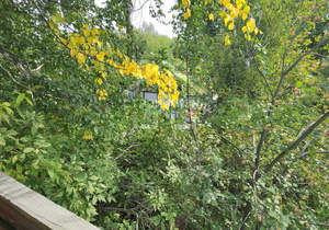 Дом 40м², 2-этажный, участок 6 сот.  