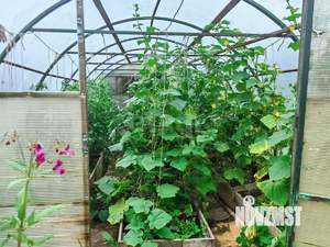 Дом 24м², 1-этажный, участок 5 сот.  