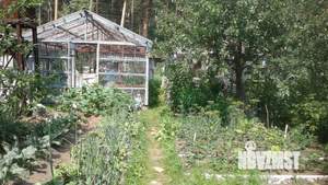 Дом 40м², 2-этажный, участок 5 сот.  