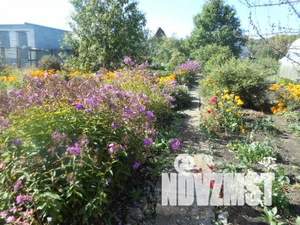 Дом 16м², 1-этажный, участок 13 сот.  