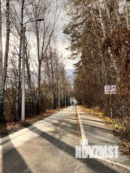 Дом 55м², 1-этажный, участок 9 сот.  