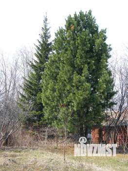 Дом 20м², 1-этажный, участок 9 сот.  