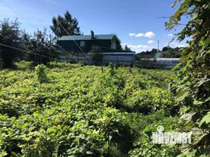 Дом 71м², 1-этажный, участок 15 сот.  