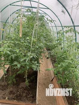 Дом 34м², 2-этажный, участок 4 сот.  