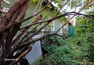 Дом 115м², 1-этажный, участок 4 сот.  