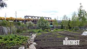 Дом 36м&sup2;, 1-этажный, участок 12 сот.  