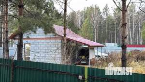 Дом 60м², 1-этажный, участок 10 сот.  