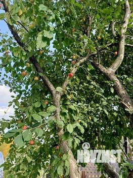 Дом 85м², 2-этажный, участок 10 сот.  