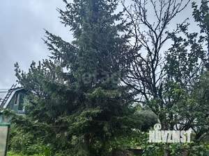 Дом 24м², 1-этажный, участок 5 сот.  