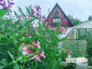 Дом 24м², 1-этажный, участок 5 сот.  