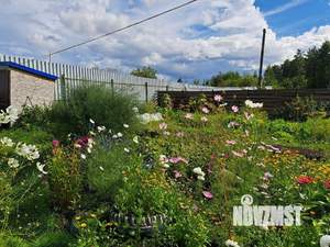 Дом 36м², 1-этажный, участок 6 сот.  