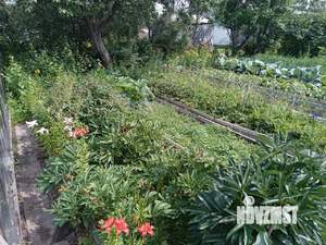 Дом 43м&sup2;, 2-этажный, участок 5 сот.  