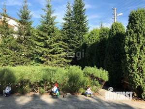 Дом 258м², 2-этажный, участок 13 сот.  