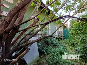 Дом 115м², 1-этажный, участок 4 сот.  