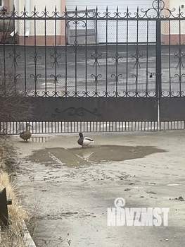 Коттедж 1100м², 3-этажный, участок 89 сот.  