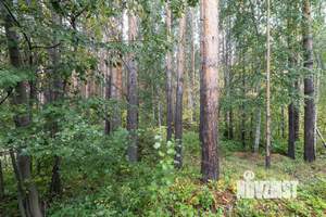 Коттедж 360м², 2-этажный, участок 14 сот.  