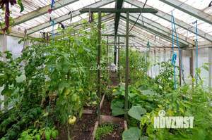 Дом 46м&sup2;, 2-этажный, участок 6 сот.  