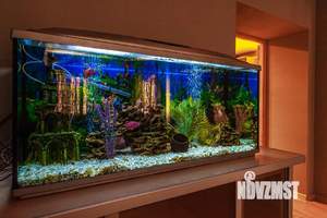 2-к квартира, посуточно, 55м2, 1/1 этаж