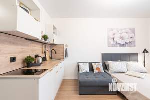 Студия квартира, посуточно, 19м2, 15/24 этаж