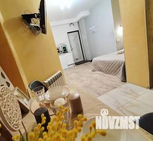 Студия квартира, посуточно, 30м2, 5/20 этаж