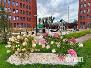 Студия квартира, на длительный срок, 29м2, 8/25 этаж