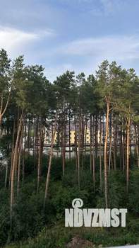 1-к квартира, на длительный срок, 43м2, 5/9 этаж