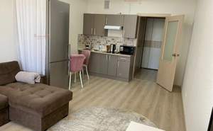1-к квартира, на длительный срок, 25м2, 10/25 этаж