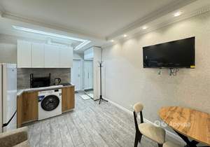 Студия квартира, на длительный срок, 20м2, 13/18 этаж