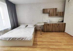 Студия квартира, на длительный срок, 27м2, 9/9 этаж