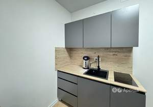 Студия квартира, на длительный срок, 19м2, 17/29 этаж