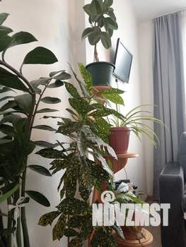 1-к квартира, посуточно, 43м2, 21/25 этаж