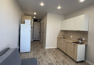 Студия квартира, на длительный срок, 20м2, 2/9 этаж