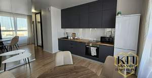 1-к квартира, на длительный срок, 45м2, 16/17 этаж