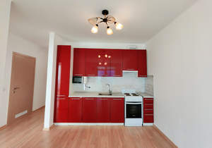 1-к квартира, на длительный срок, 42м2, 4/27 этаж