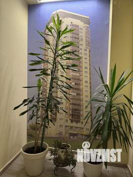 1-к квартира, на длительный срок, 51м2, 16/24 этаж