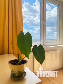 1-к квартира, на длительный срок, 40м2, 21/21 этаж